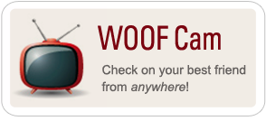 Woof Cam