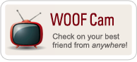 Woof Cam