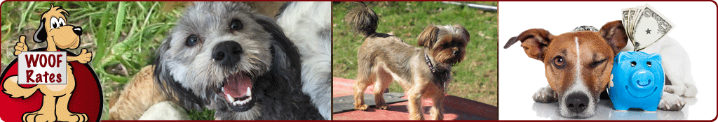 WOOF Dog Day Care & Boarding Rates