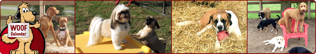 WOOF Doggie Day Care & Boarding Calendar of Events
