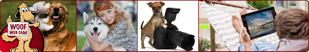 WOOF Web Cam