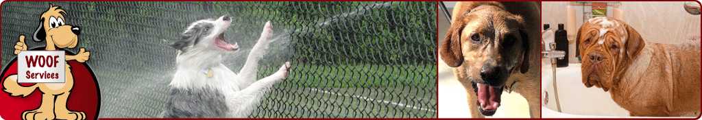 WOOF Dog Day Care Serivces